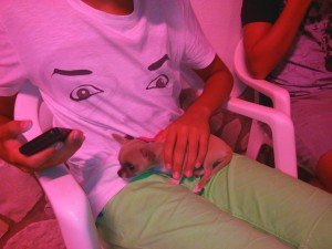 JiaYu G4 Advanced foto