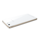 Oppo R1