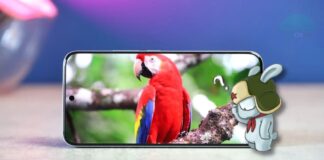 Netflix non va in HD su Xiaomi? Ecco come controllare (e ripristinare) Widevine L1 Come verificare Widevine L1 su Xiaomi, Redmi e POCO