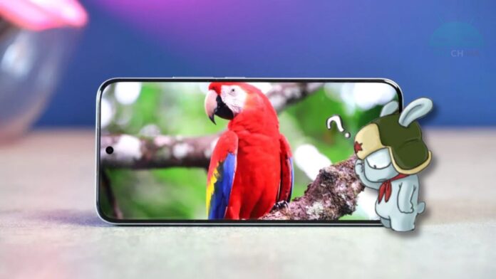 come-controllare-xiaomi-redmi-poco-supporto-widevine-l1-0 Come verificare Widevine L1 su Xiaomi, Redmi e POCO