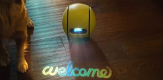 Il mistero di Ballie, Samsung rimuove la pagina ufficiale: è il capolinea? Samsung ballie